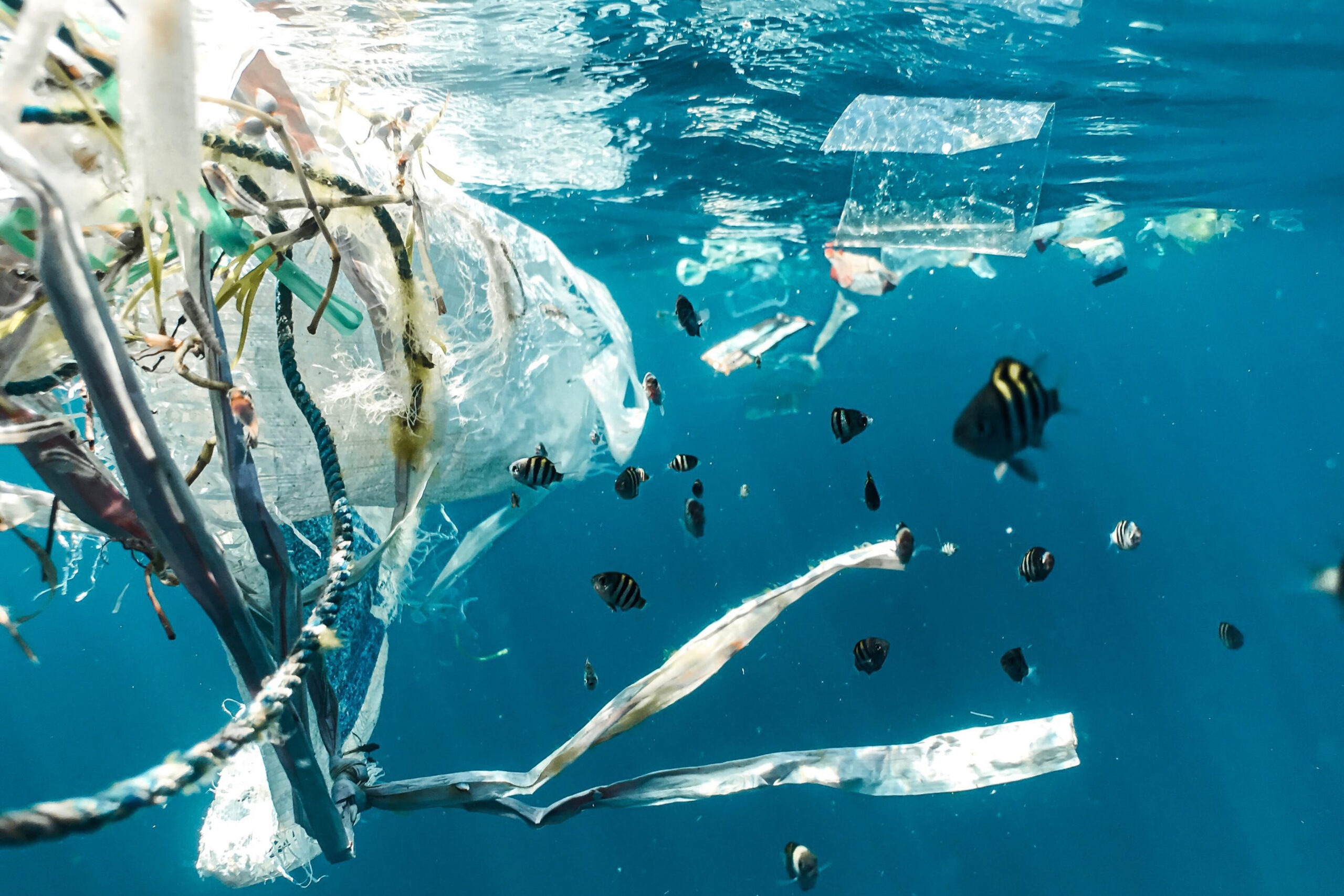 The Politics of Plastic Pollution and the Impact on the Global South