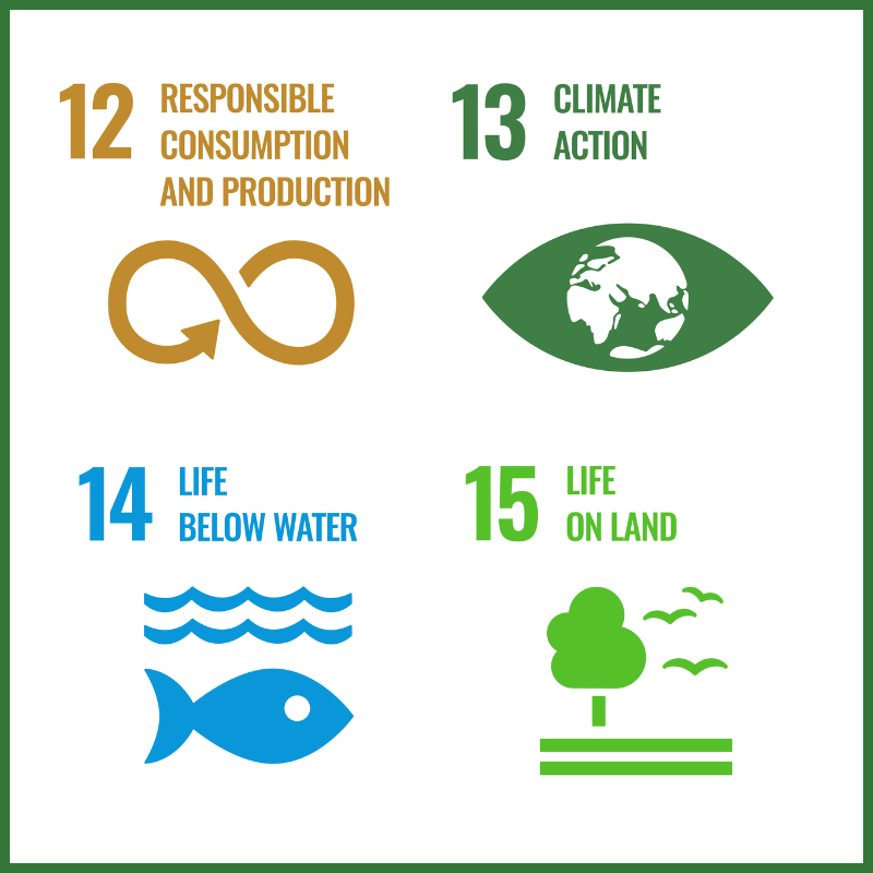 Sustainable Development Goals for Environment